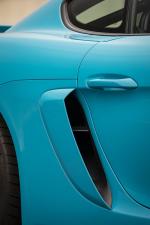 Porsche 718 Cayman GT4 2019 года (WW)